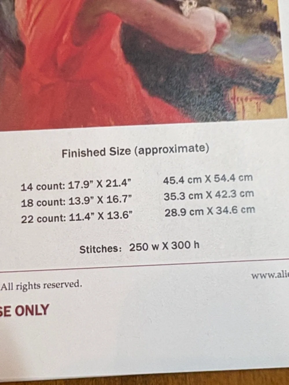 Ankicoleman  Designs Cross Stitch Pattern - Girl in Red Dress “Occupied”